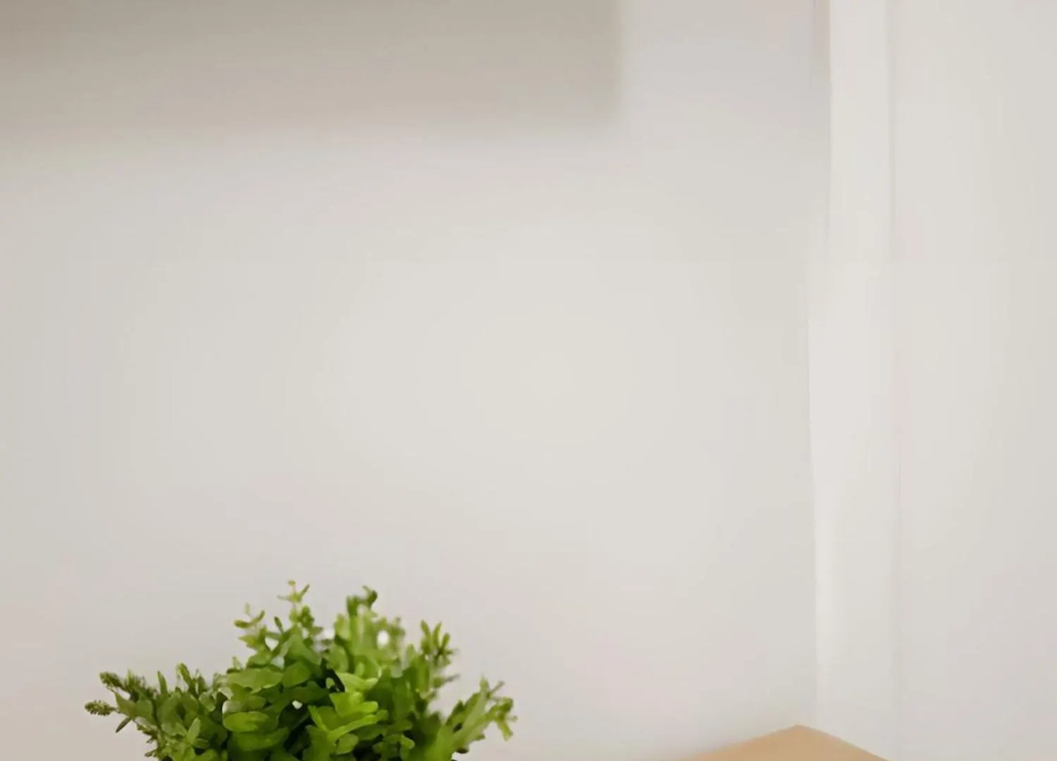 Estudio Elegante No Centro Флорианополис