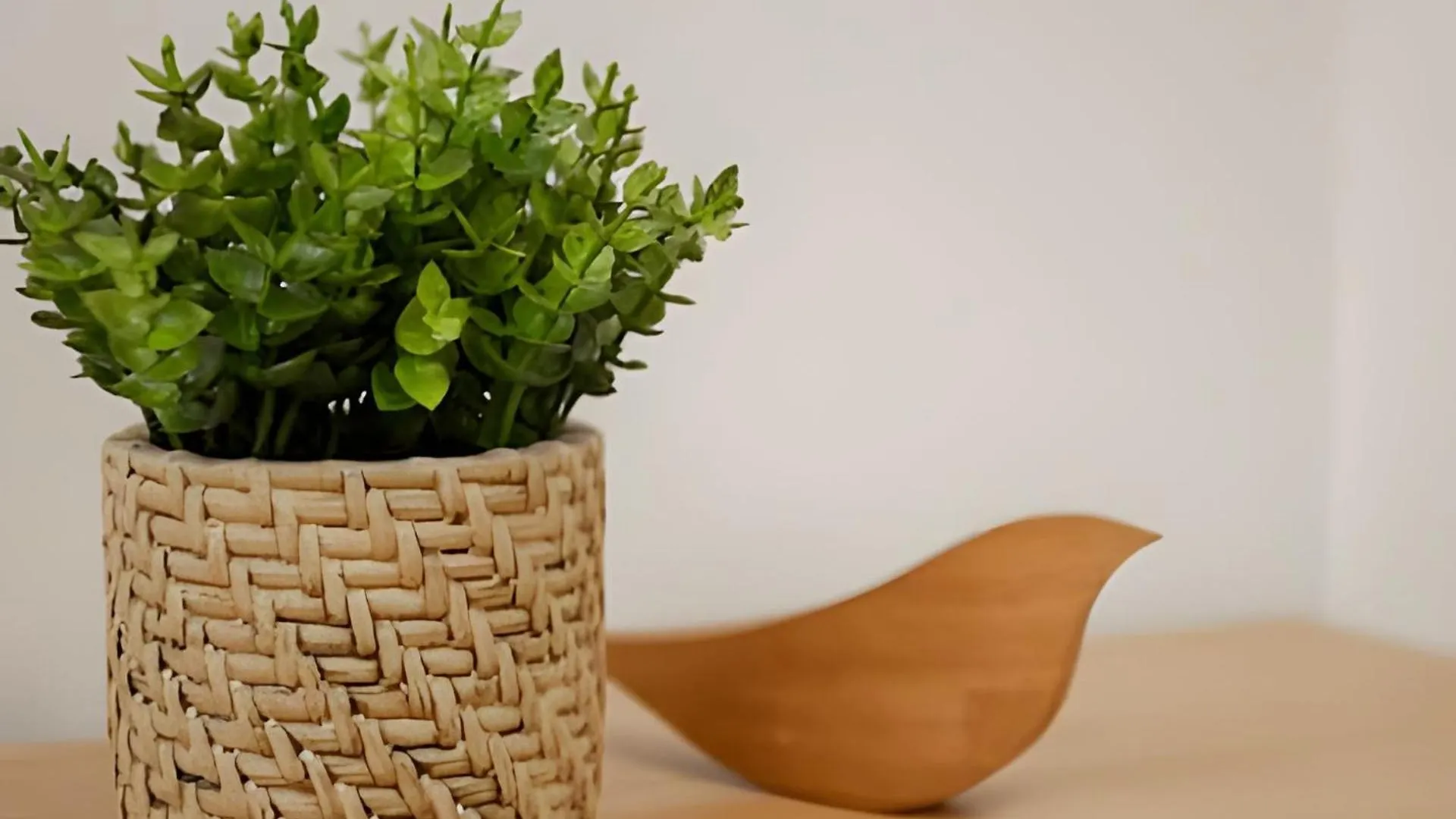 Estudio Elegante No Centro Флорианополис Апартаменты